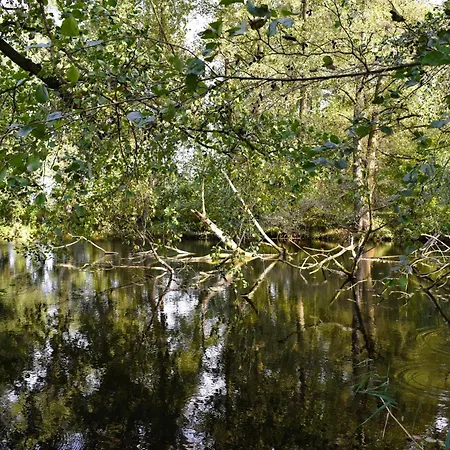 U Bezedné * Velky Osek