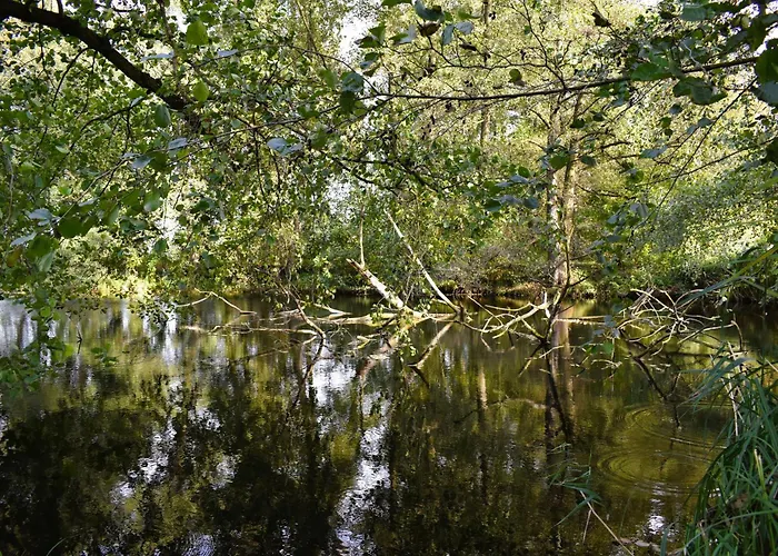 U Bezedne * Velky Osek