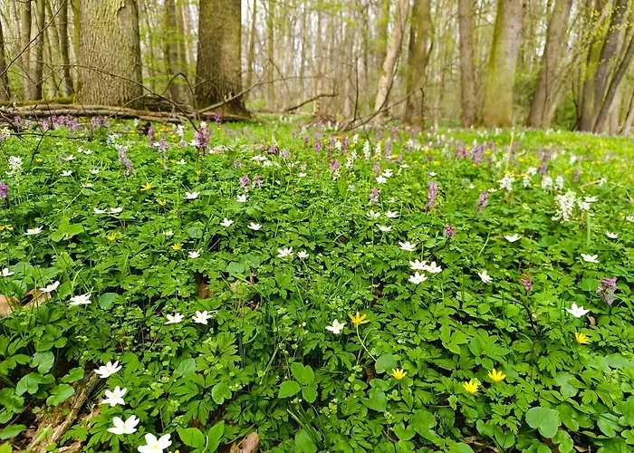 Apartment U Bezedne Velky Osek